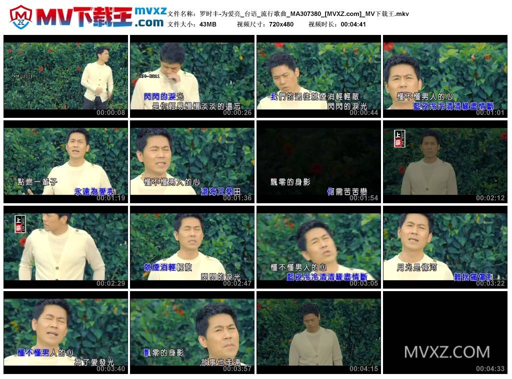 罗时丰-为爱亮_台语_流行歌曲_MA307380